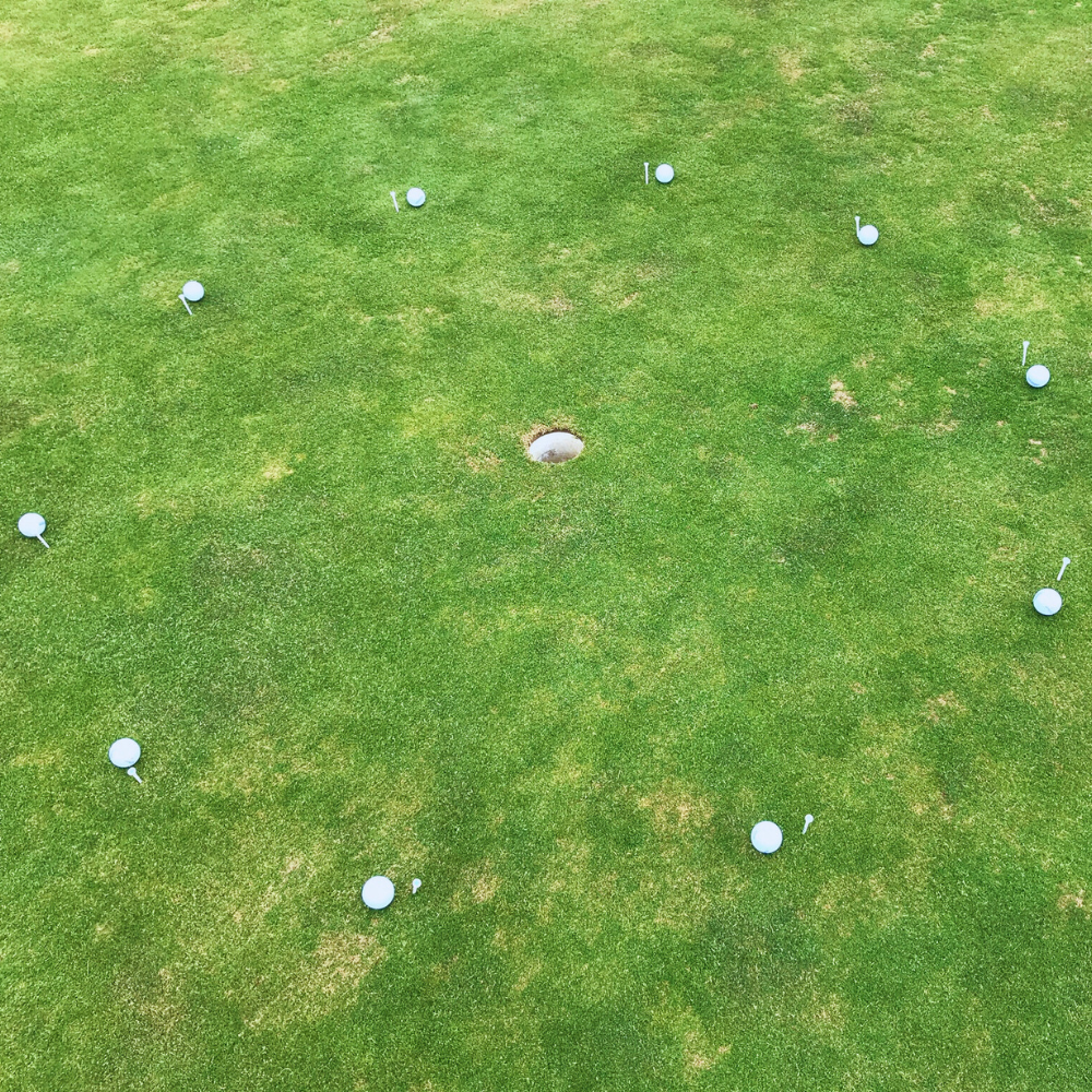 Green with balls in a circle Marketing analysis for golf coaches and golf schools